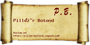 Pillár Botond névjegykártya